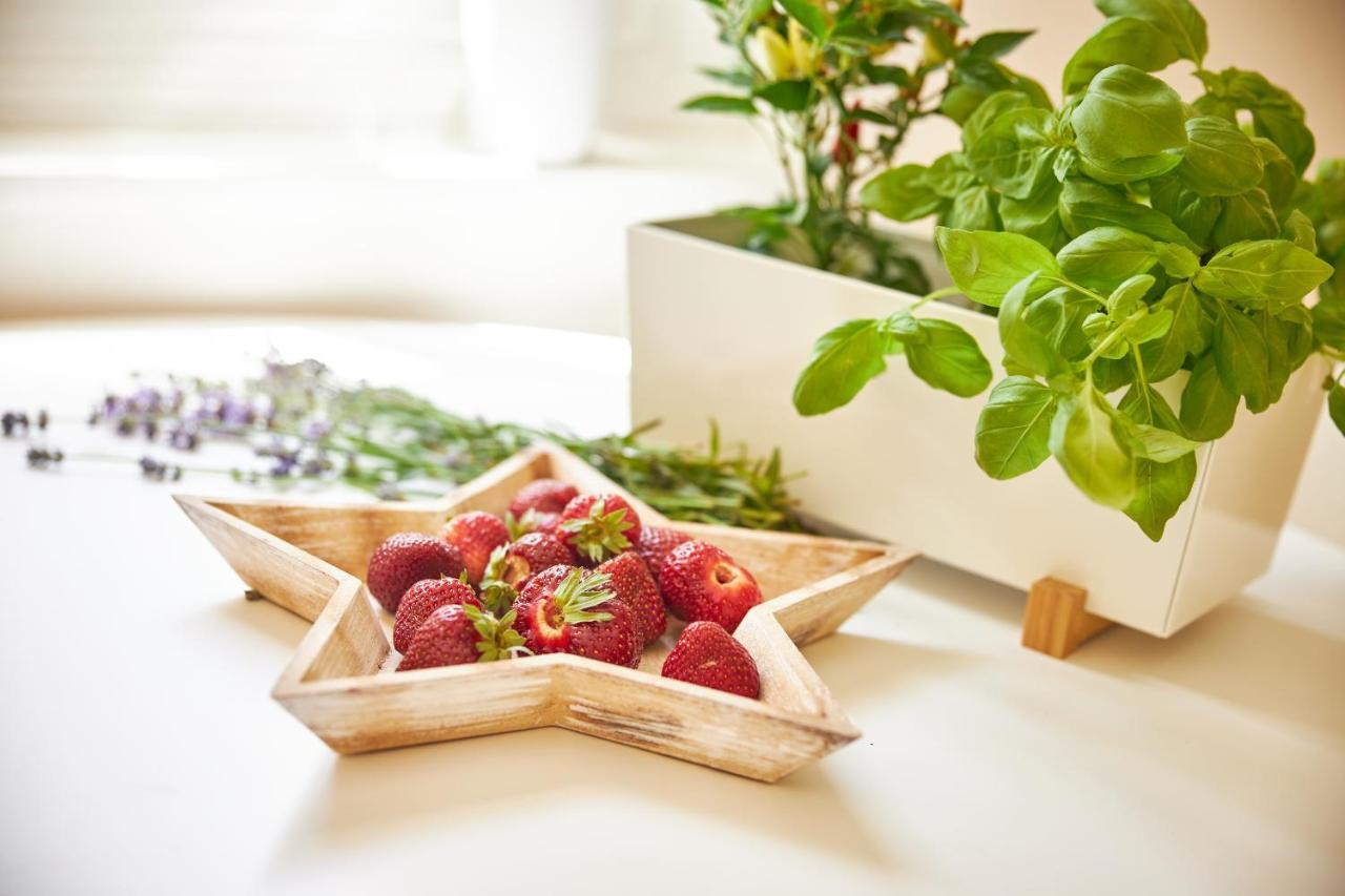 Apartmany Challupa Horní Maršov エクステリア 写真