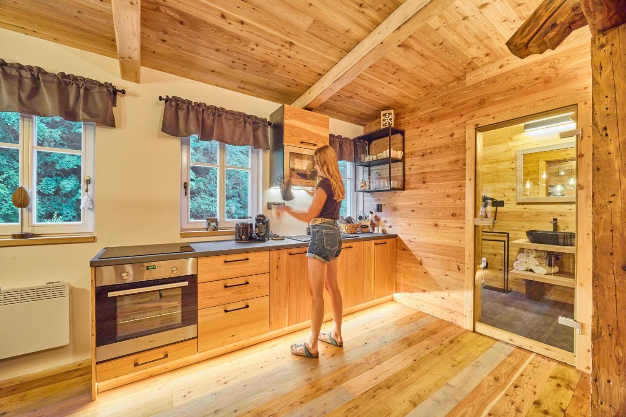 Apartmany Challupa Horní Maršov エクステリア 写真